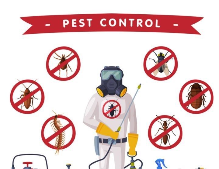 Looking out for Pest Control Service in Hobart_