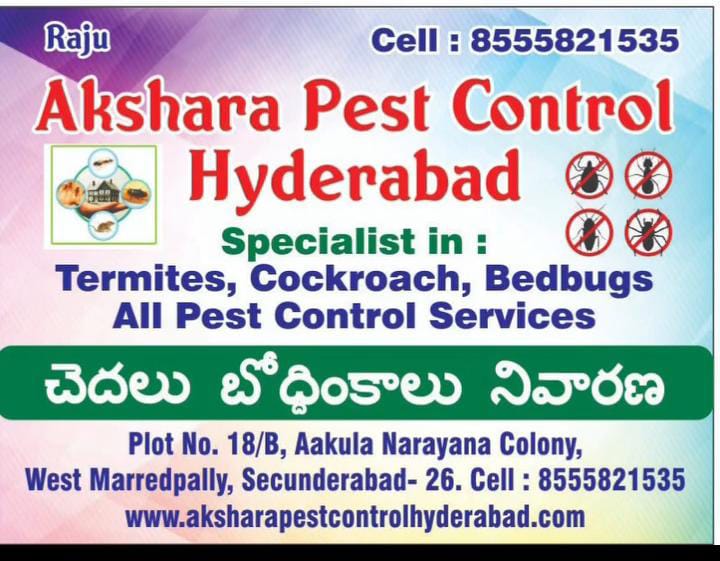 WhatsApp Image 2025-05-27 at 12.00.10_11aebbc2